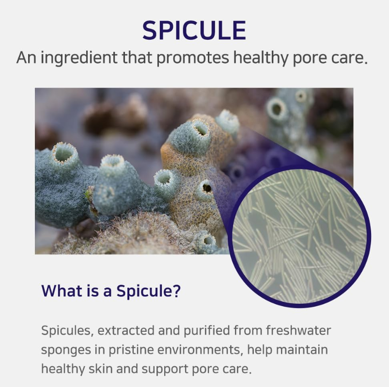 APLB Spicule Collagen Shot 300 Serum