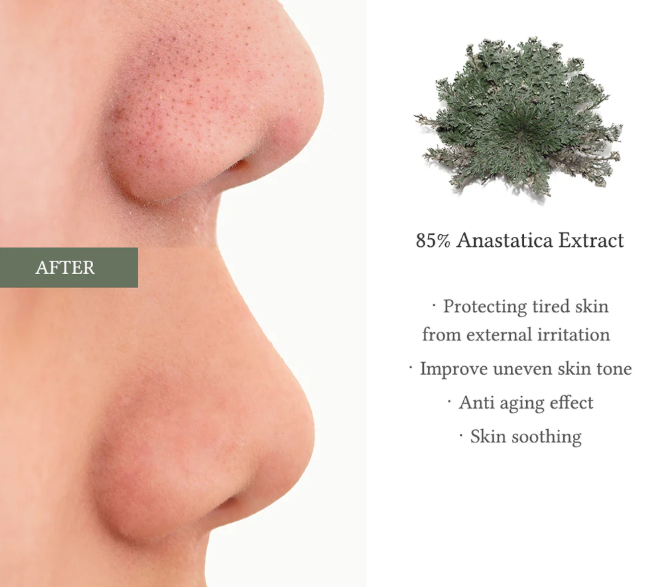 Dr. Althea Anastatica Skin Conditioning Pad