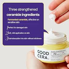HOLIKA HOLIKA Skin and Good Cera Cream Gift Set